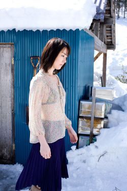 日本妻子